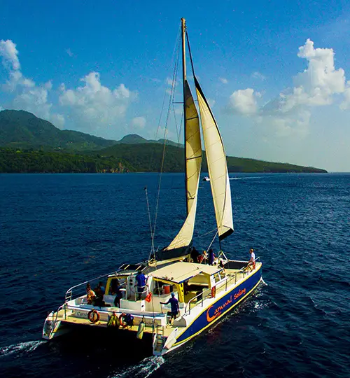 Canfostar - Catamaran 3