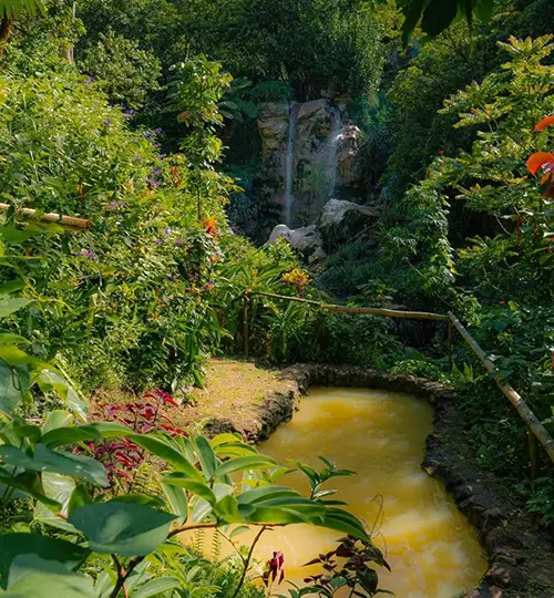 Canfostar - Saphire Falls 3