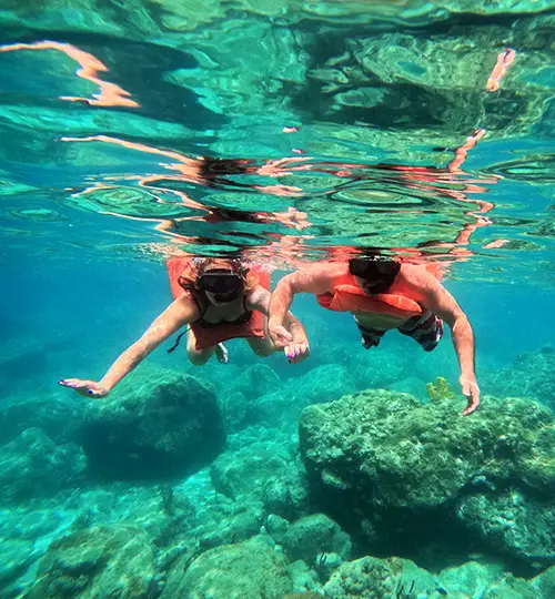 Canfostar - Snorkelling