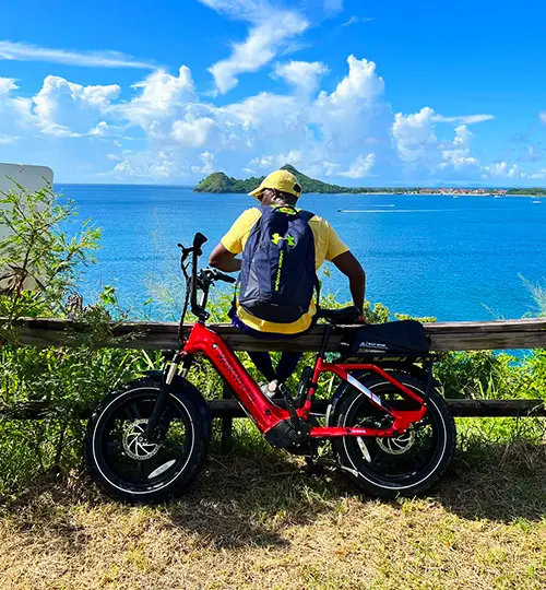 Canfostar - E-Bike 2