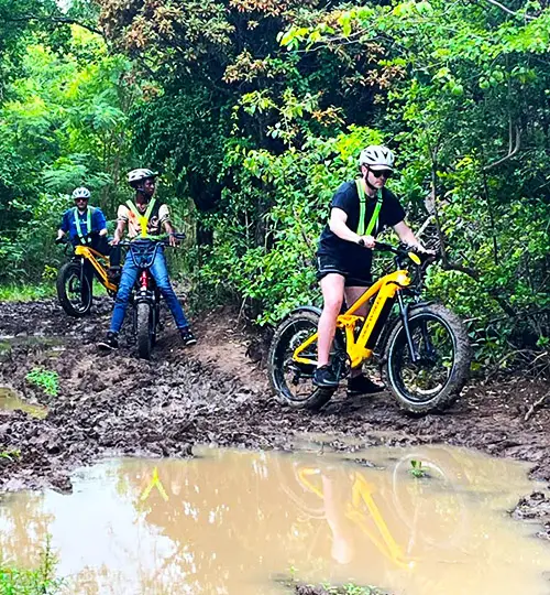 Canfostar - E-Bike 3