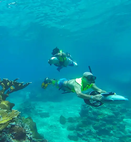 Canfostar - Power Snorkelling 2