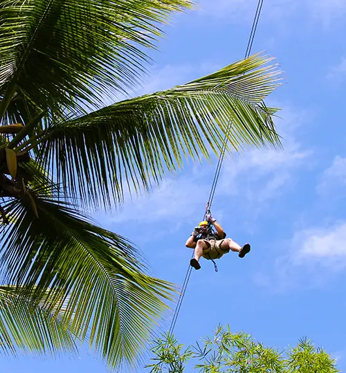 Canfostar - Zipline 6