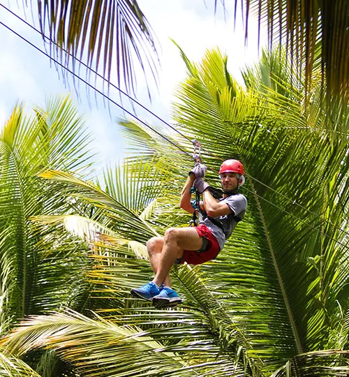 Canfostar - Zipline 7