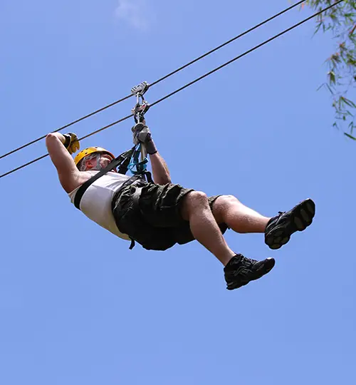 Canfostar - Zipline 8